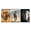 Kép 1/4 - Füzet kockás STREET A/4 54 lapos Horses