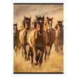Kép 2/4 - Füzet kockás STREET A/4 54 lapos Horses