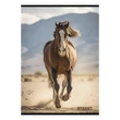 Kép 3/4 - Füzet kockás STREET A/4 54 lapos Horses