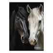 Kép 4/4 - Füzet kockás STREET A/4 54 lapos Horses