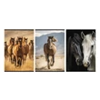 Kép 1/4 - Füzet sima STREET A/4 54 lapos Horses