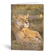 Kép 1/5 - Füzet vonalas LIPAMILL A/4 40 lapos King of lions