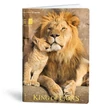 Kép 2/5 - Füzet vonalas LIPAMILL A/4 40 lapos King of lions
