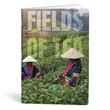 Kép 3/5 - Füzet vonalas LIPAMILL A/4 40 lapos Travel