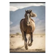 Kép 5/5 - Füzet vonalas STREET A/4 54 lapos Horses margóval