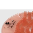 Kép 3/3 - Piszoár rács illatosított SMARTLINE 175x170 mm clean papaya mango