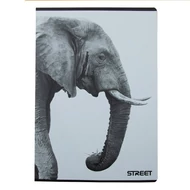 Füzet kockás STREET A/4 54 lapos Safari